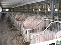 thn_Troubelice 2006 041.jpg